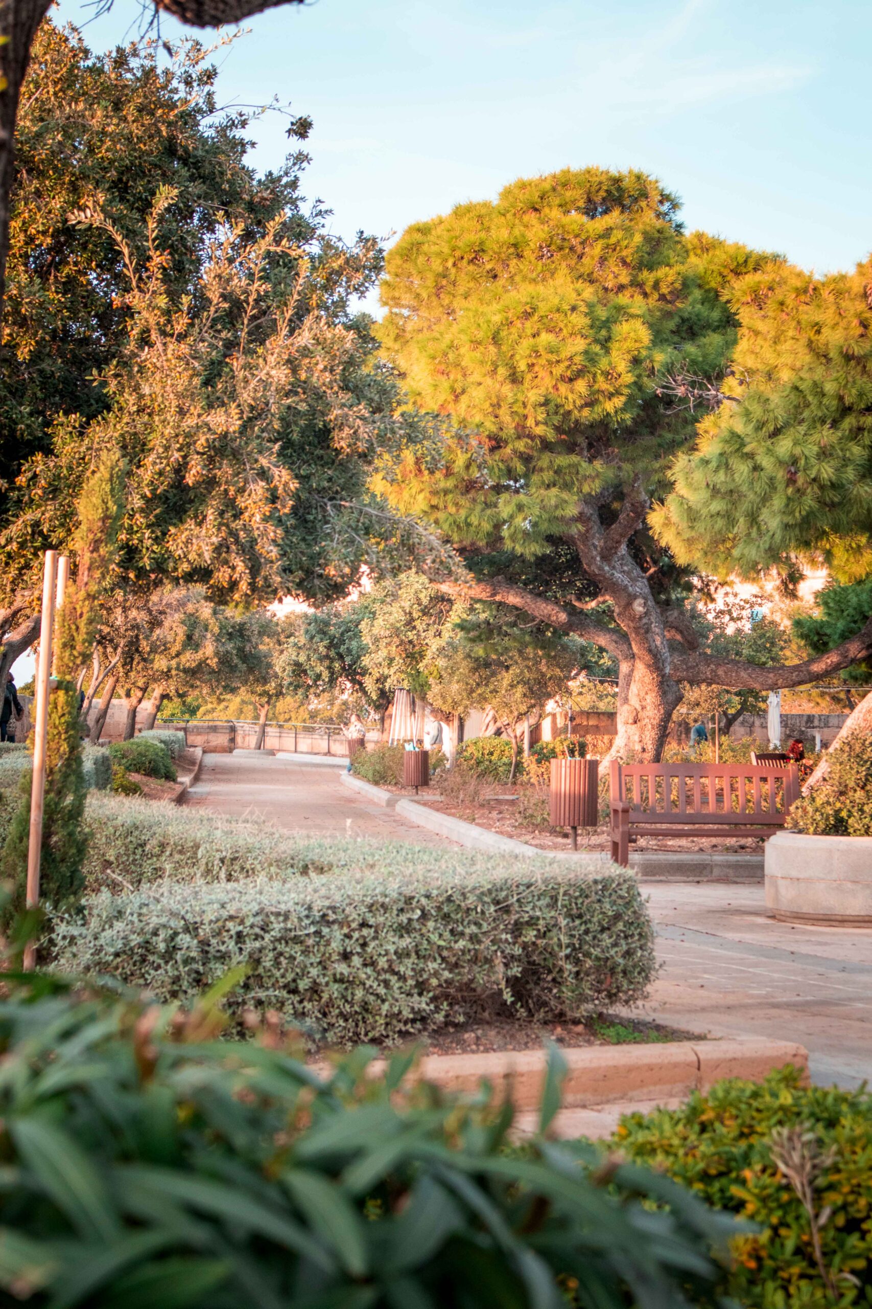 Alley with trees and vegetation in the Hastings Garden in Valletta, Malta