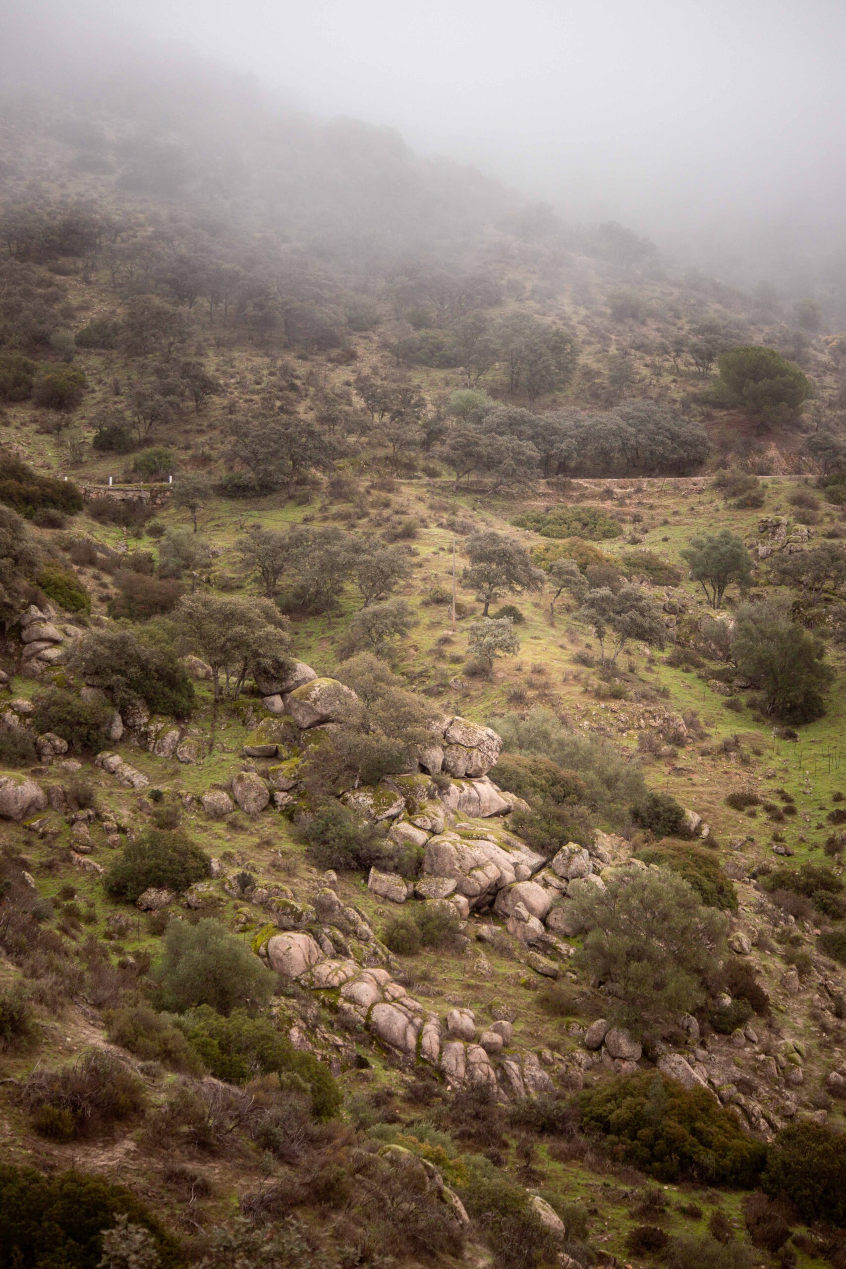 Foggy Valley in Andújar Natural Park, Provincia de Jaén, Andalusia, Spain