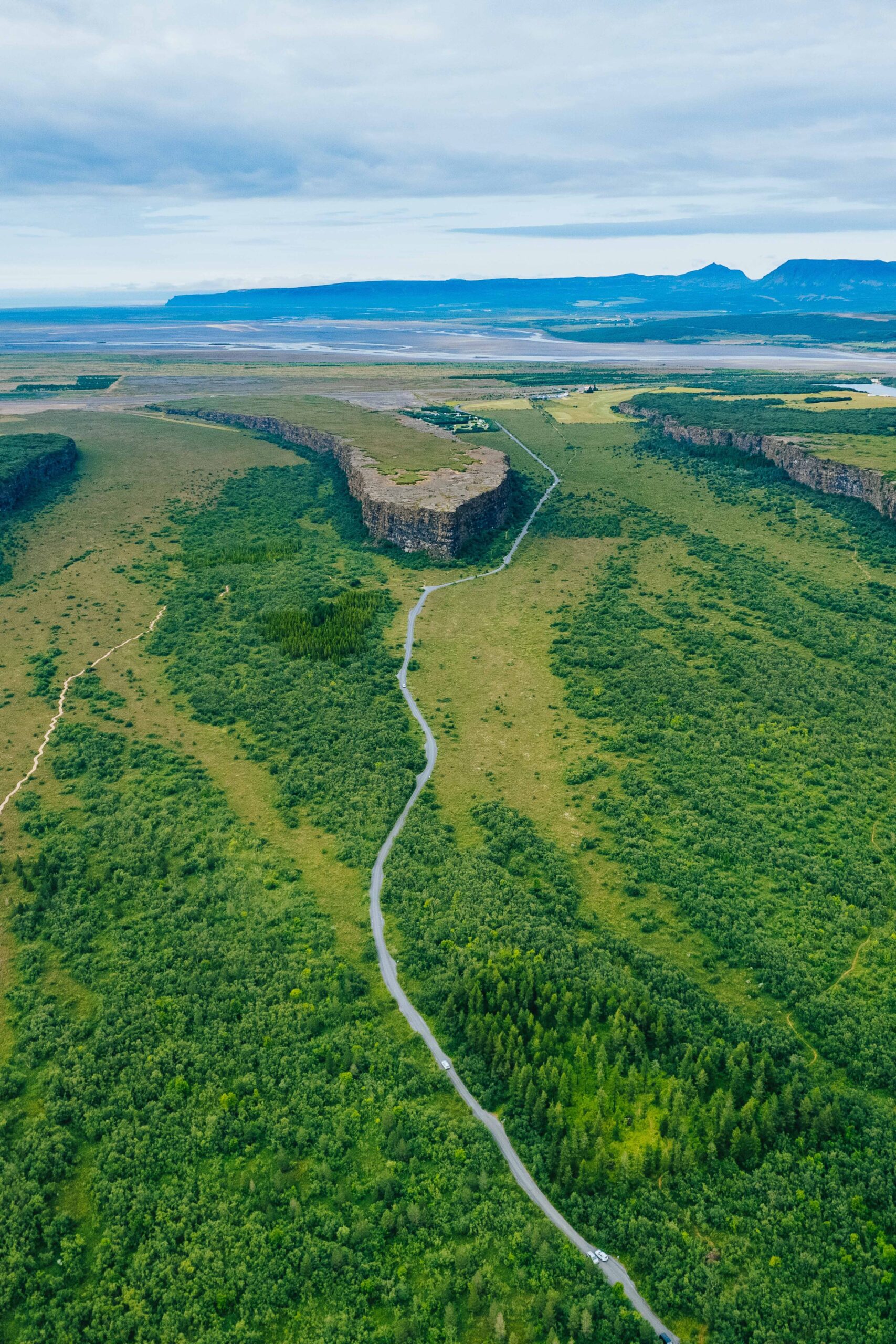 Drone view of the forest, road and trail in Asbyrgi canyon, North Iceland