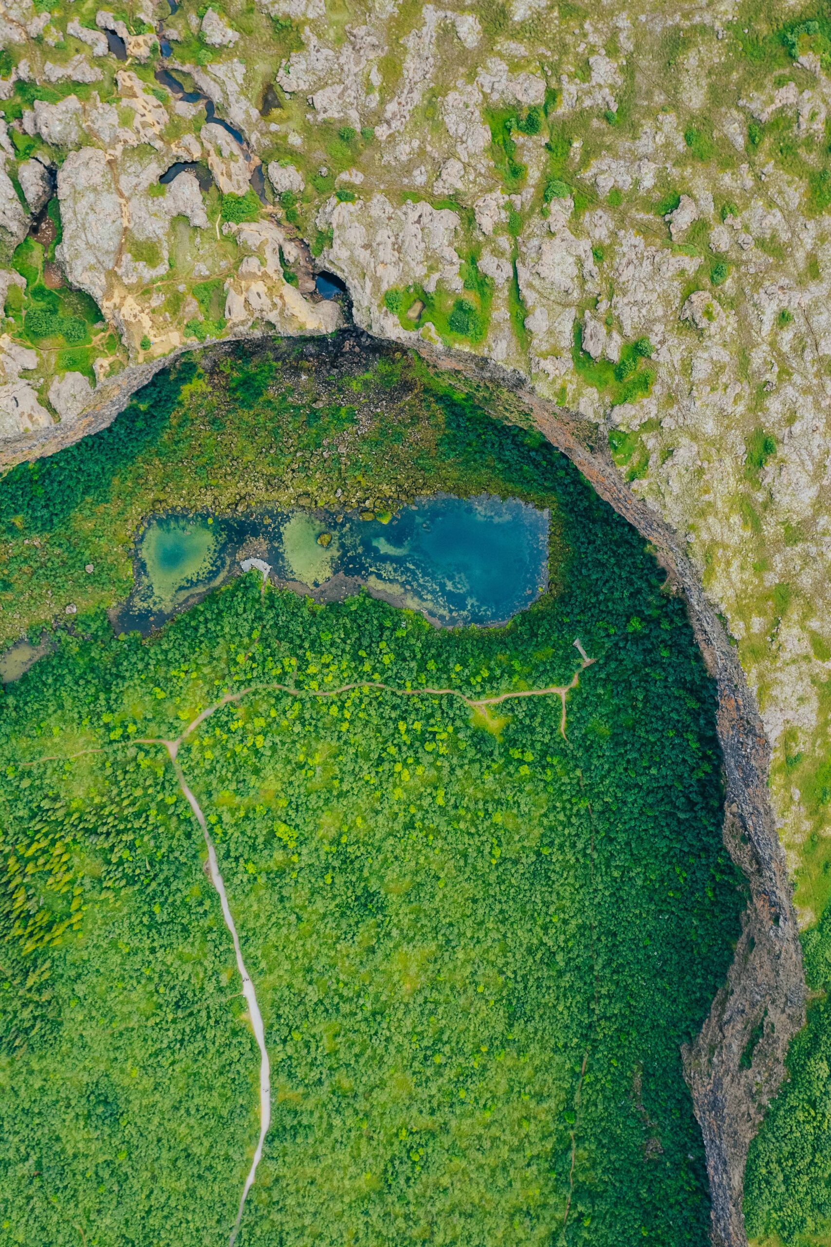 Drone view of the forest and trail to Botnstjörn small lake in Asbyrgi canyon, North Iceland