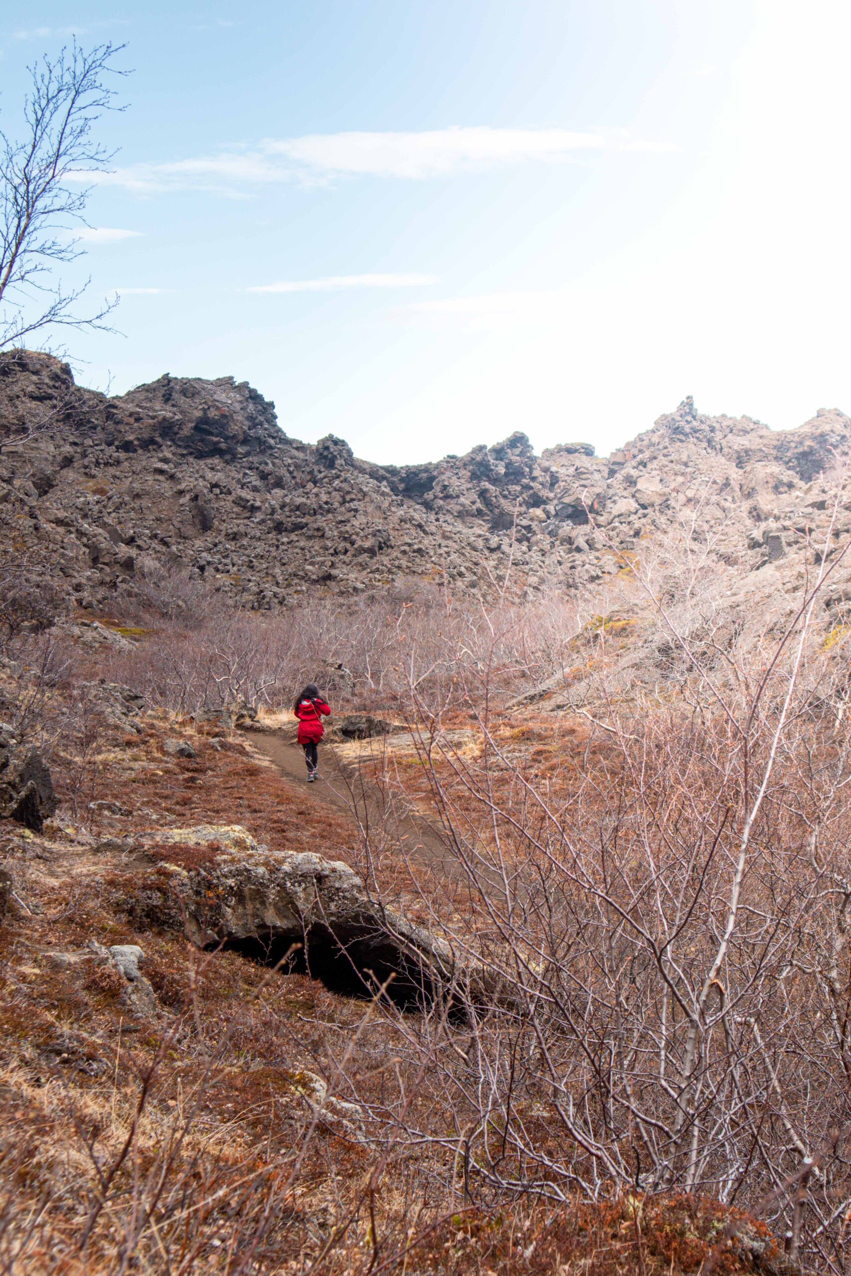 Woman hiking in Dimmuborgir lava fields at Mývatn Lake Area, North Iceland