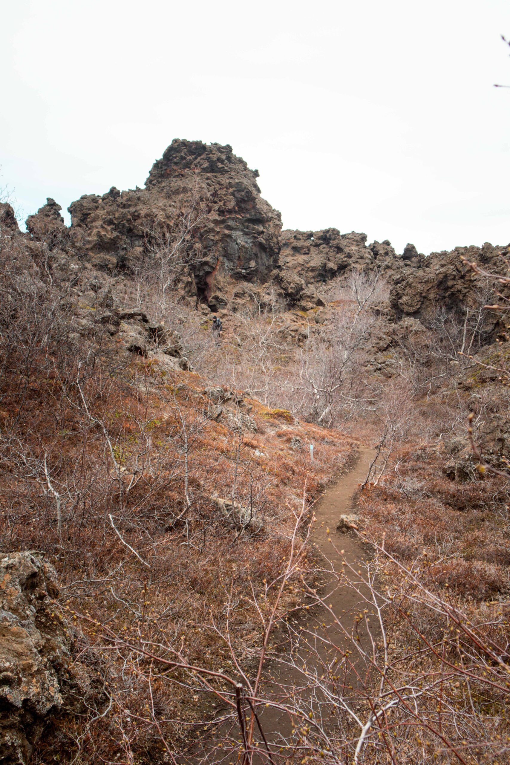 Krokastigur ('Crooked Path') in Dimmuborgir lava fields at Mývatn Lake Area, North Iceland