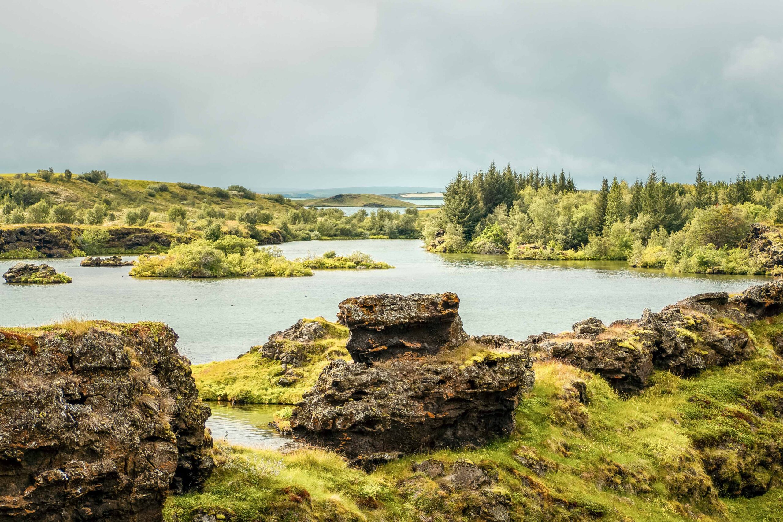 Klasar lava pillars on Kalfastrond peninsula and view of the forest of Hofdi peninsula in Lake Mývatn area, North Iceland