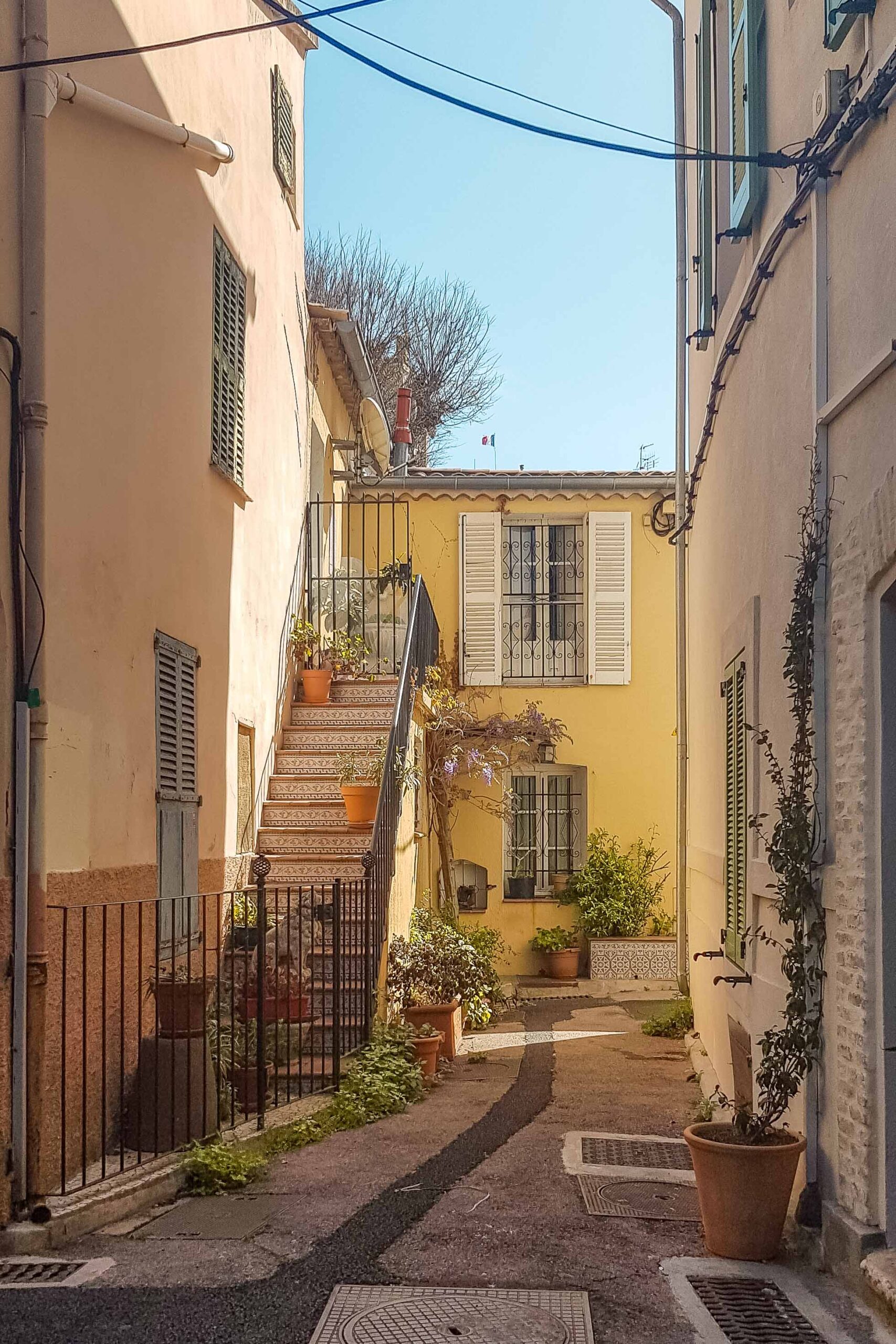 Small colourful street with potted plants in the Old Town of Antibes, France