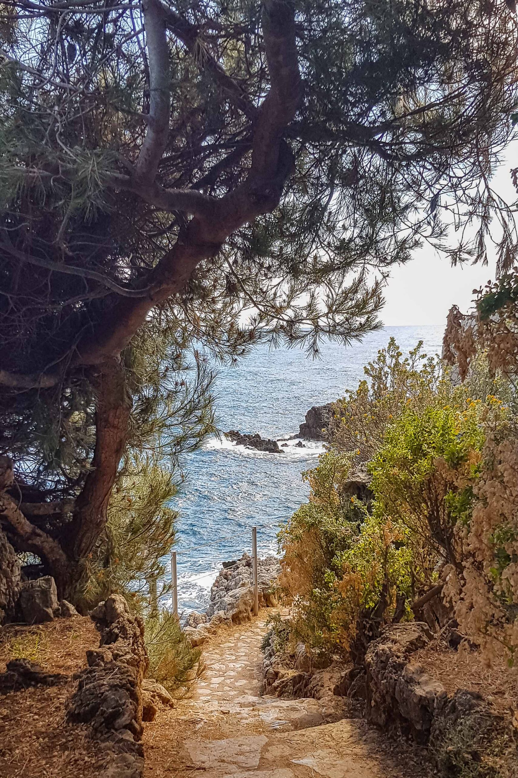 Staircase, vegetation and view of the Mediterranean Sea along the Sentier du Littoral hiking trail during a sunny day in Antibes, France