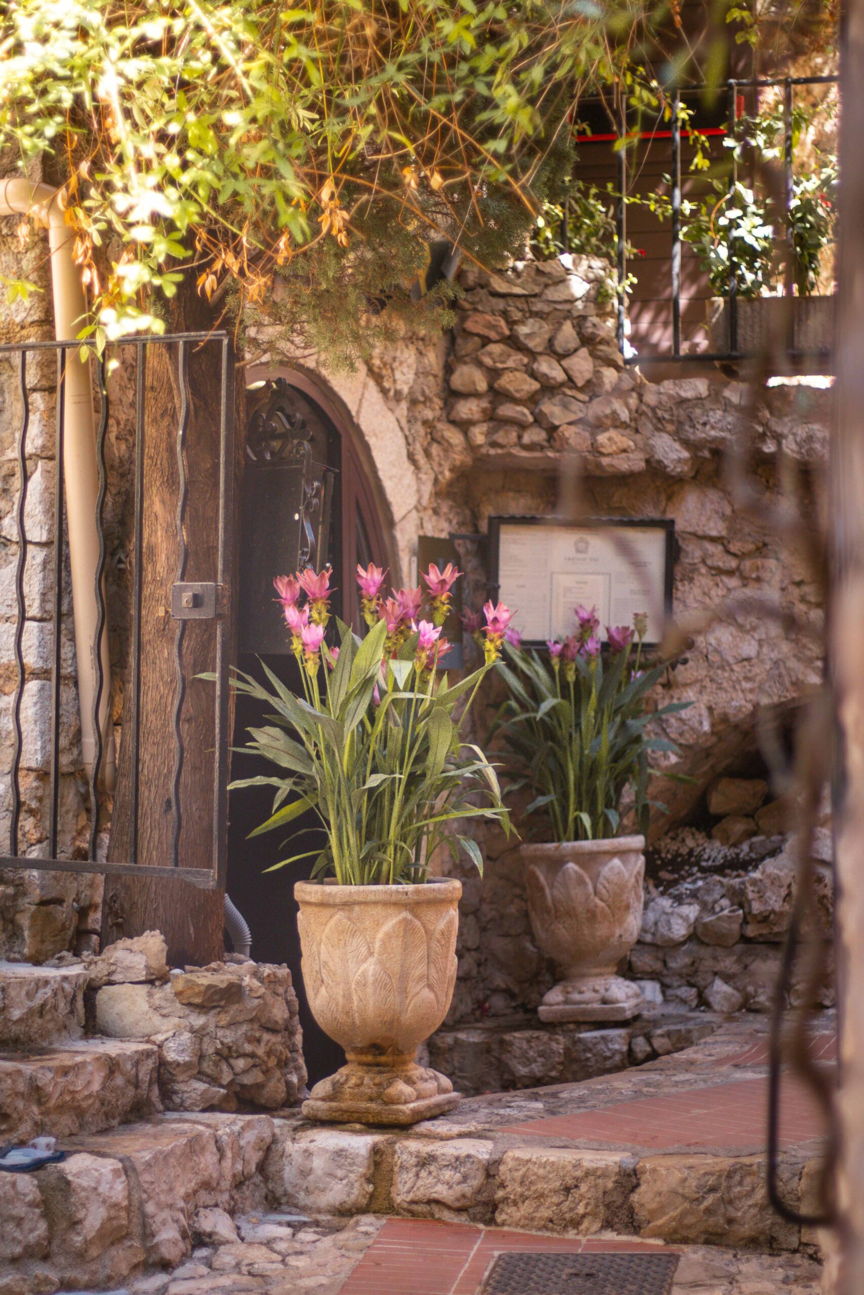 Details of a small empty cobblestone street featuring potted plants and flowers in Eze Village, France