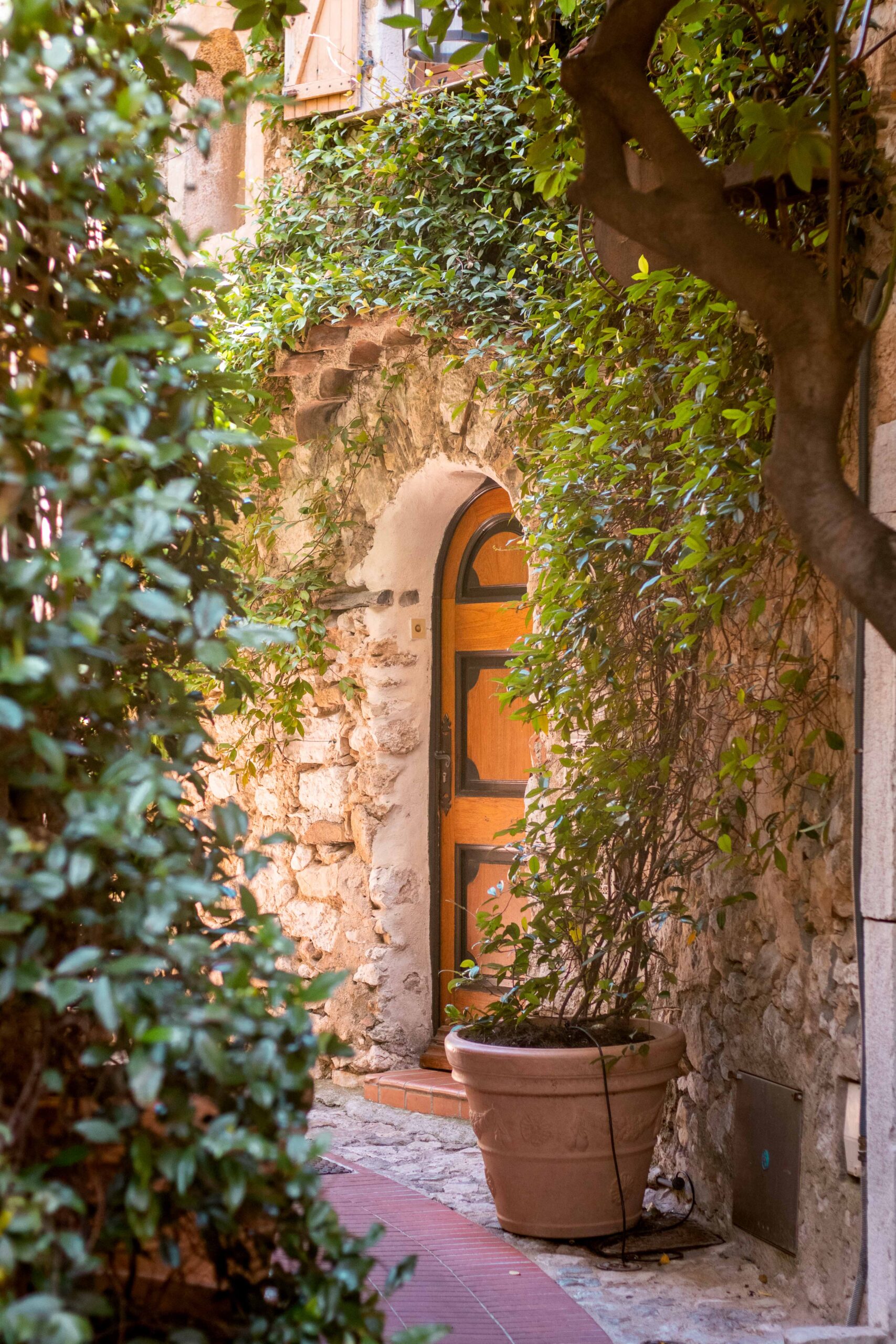 Small empty cobblestone street featuring potted plants and wooden door in Eze Village, France