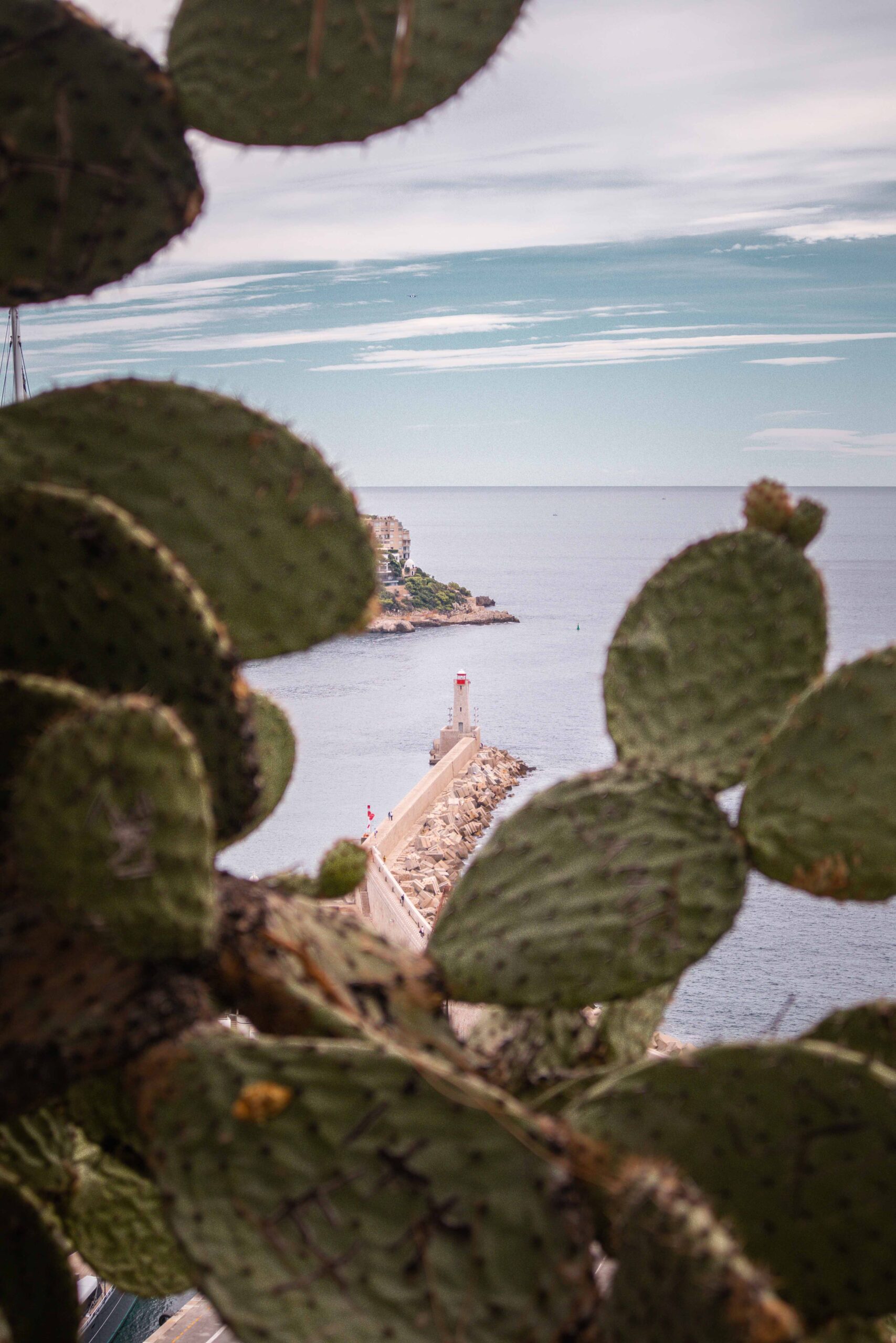 View of the sea and lighthouse near Port Lympia with cacti as seen from the Colline du Château (Castle Hill) park in Nice, France