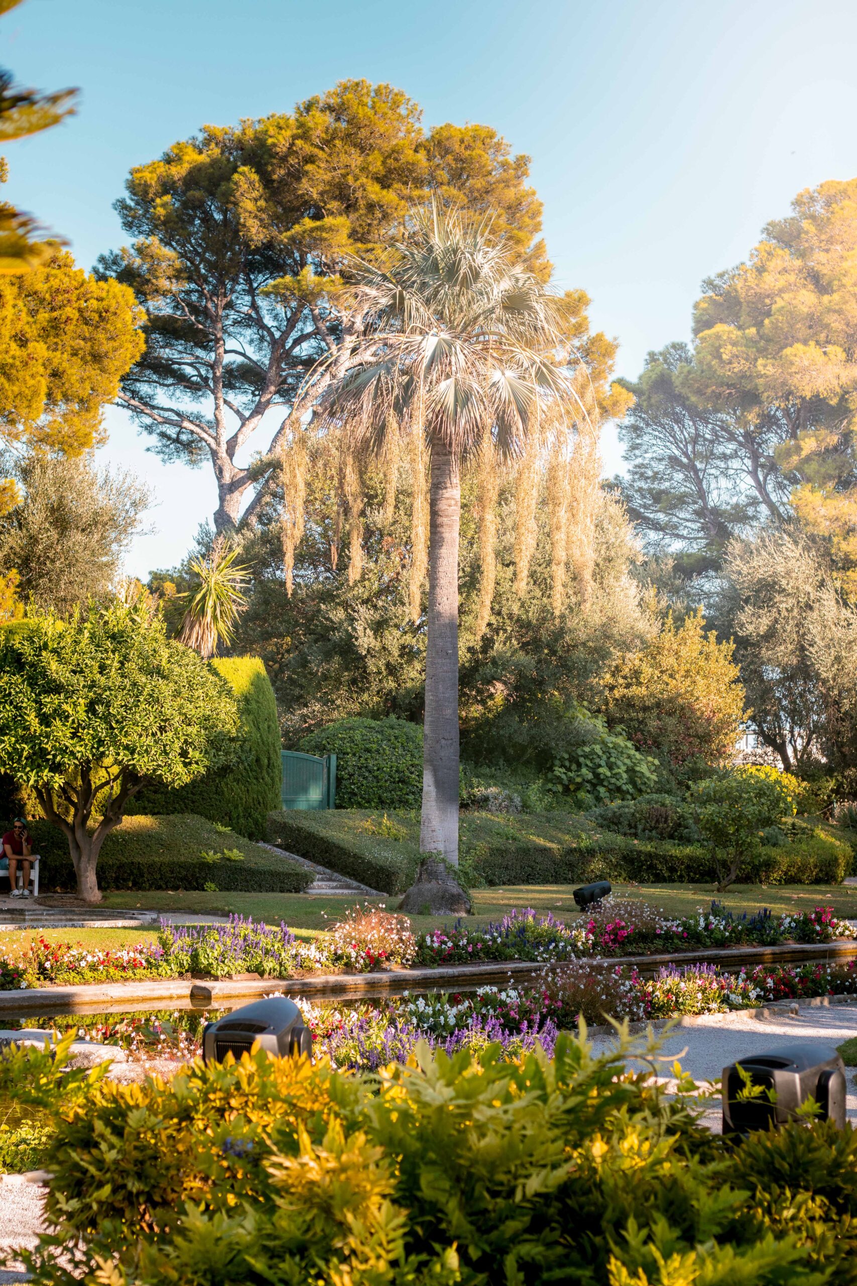 Details of ponds, flowers, and trees in the French Garden of Villa Ephrussi de Rothschild in Saint-Jean-Cap-Ferrat, France