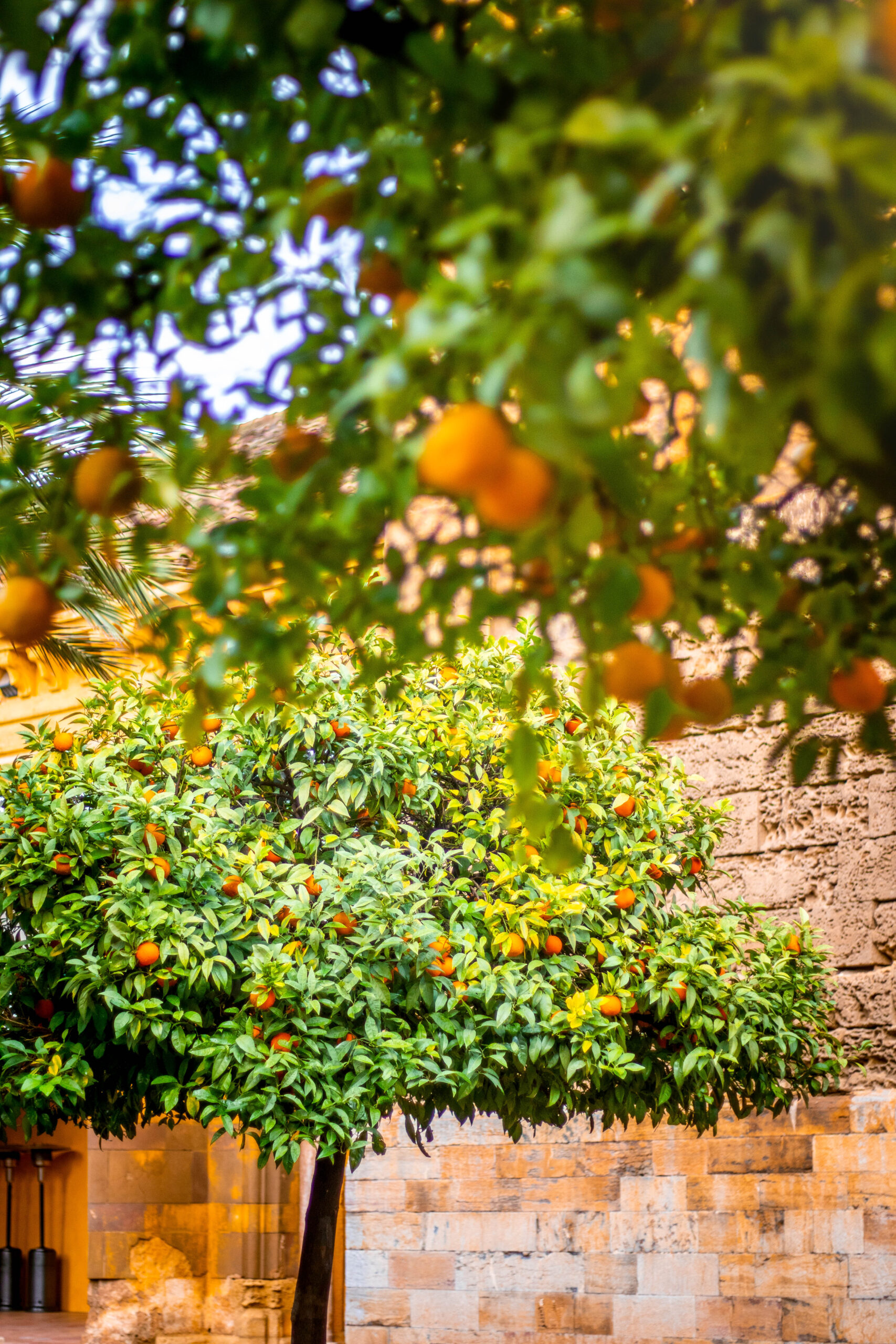Spain - Cordoba-212