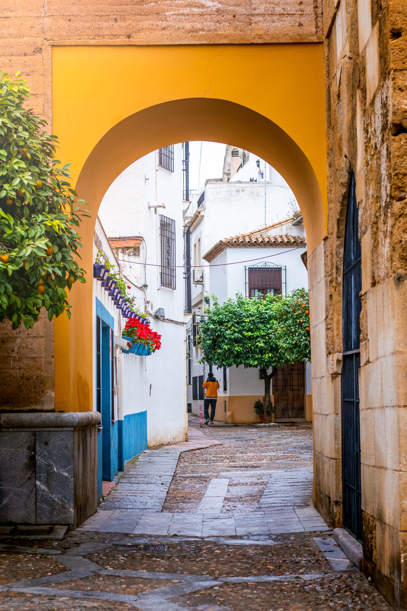 Spain - Cordoba-361