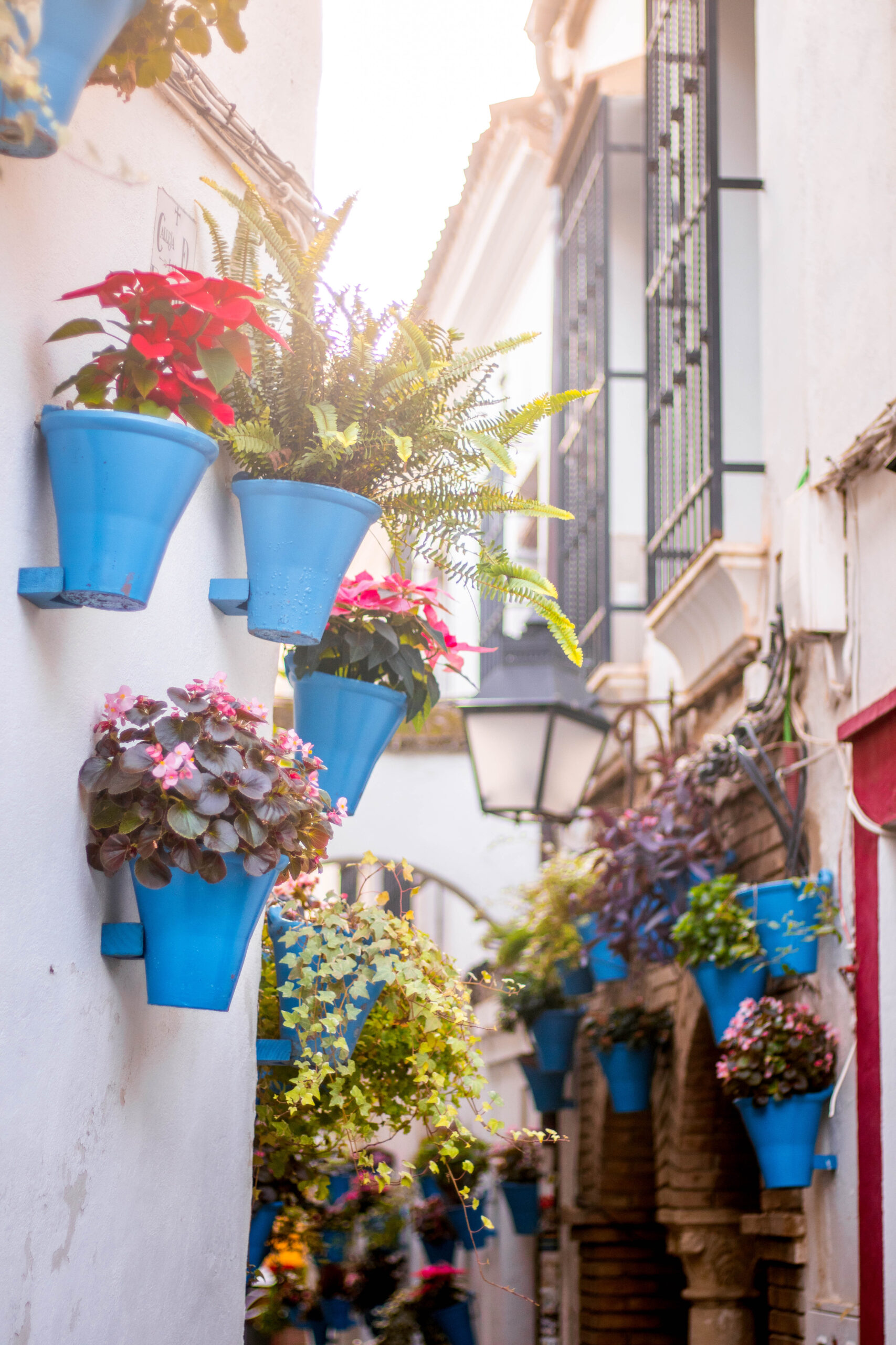 Spain - Cordoba-53