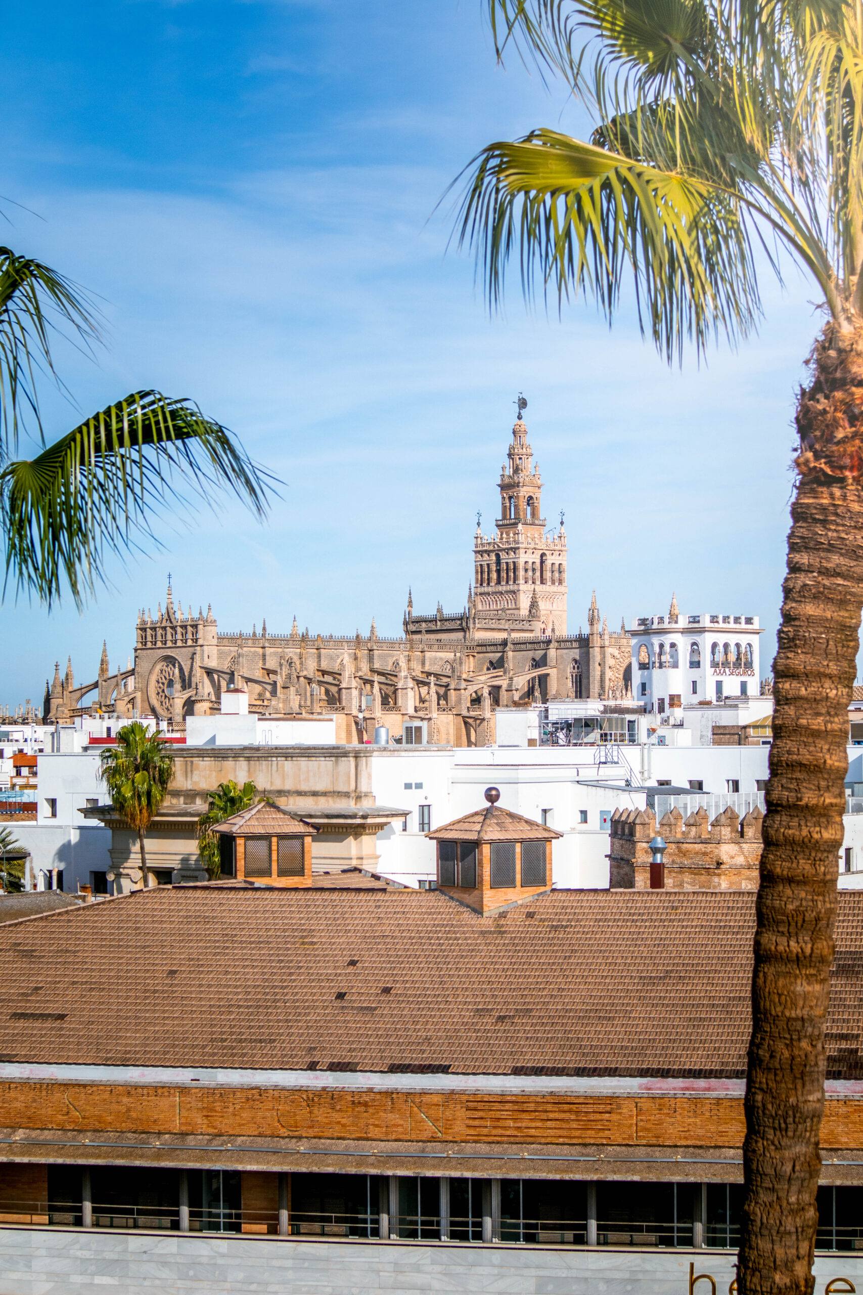 Spain - Sevilla-551