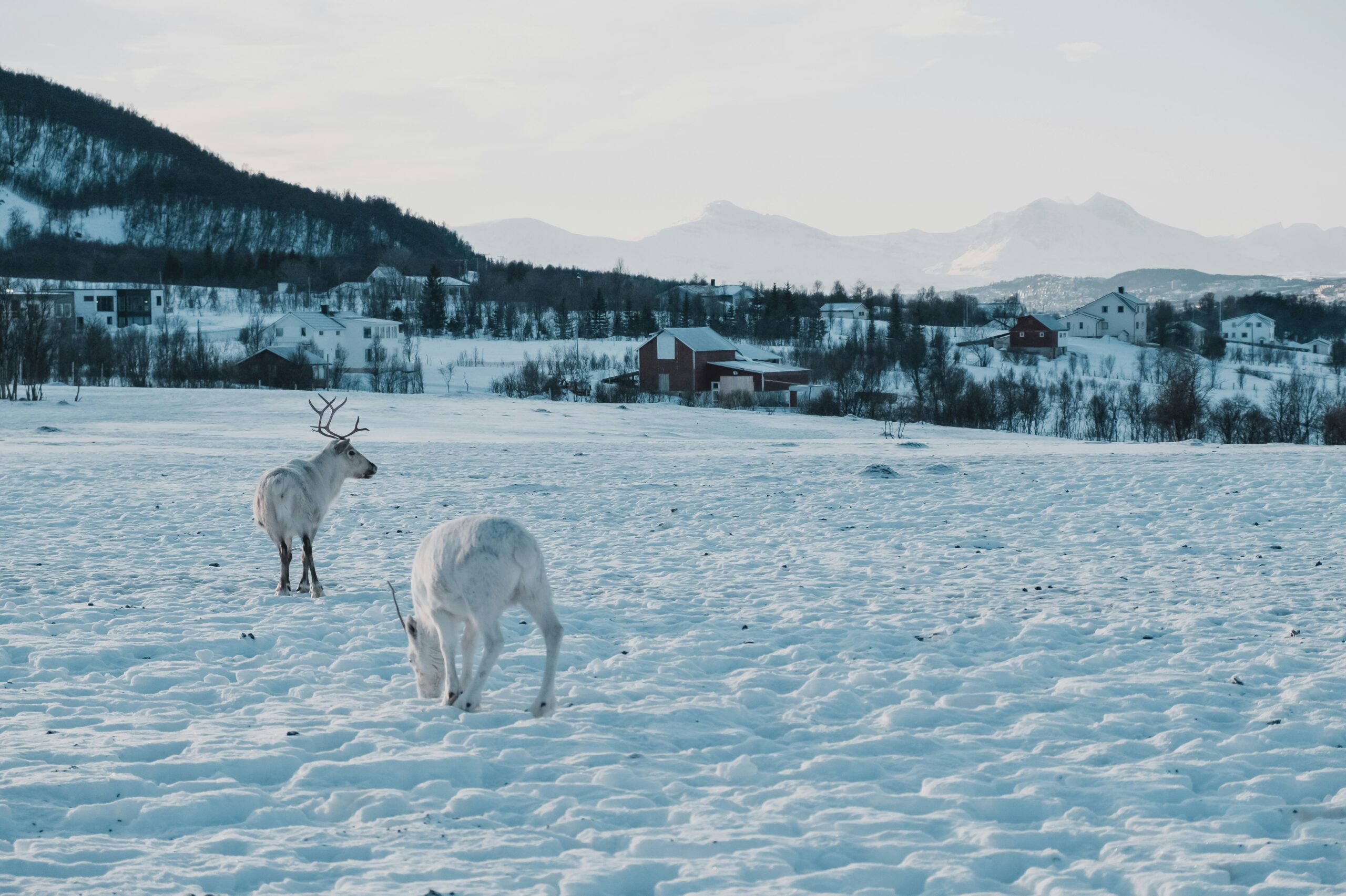 febiyan-FYM2wVWqE-8-unsplash